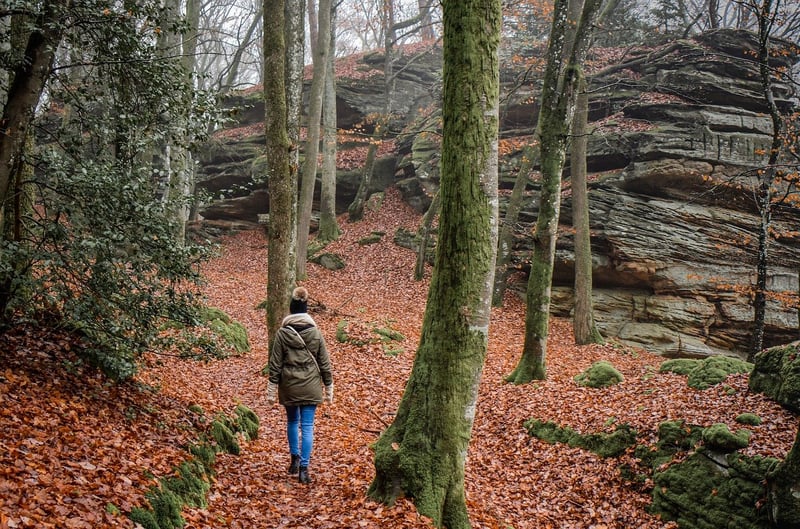 Hiking Meditation